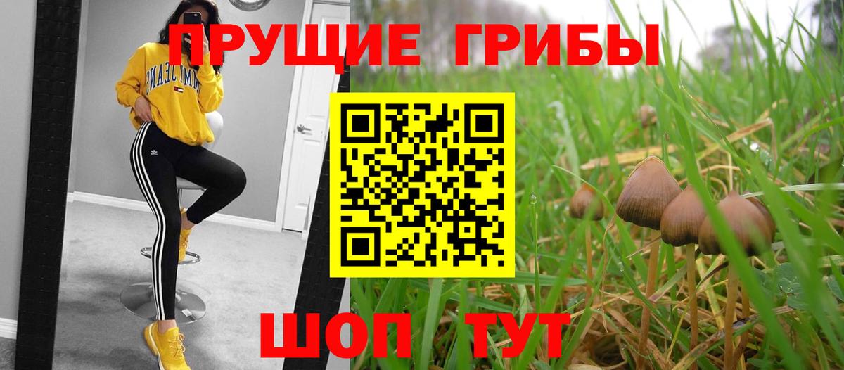 Торжок  Галлюциногенные грибы мицелий  Псилоцибиновые грибы GOLDEN TEACHER  Вход с VPN 
